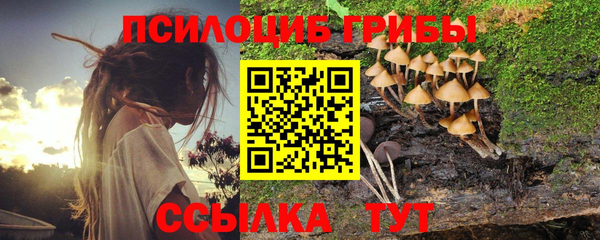 Галлюциногенные грибы Psilocybe  Вход с VPN  Лянтор 