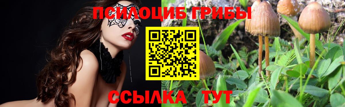 Псилоцибиновые грибы MAGIC MUSHROOMS Лянтор